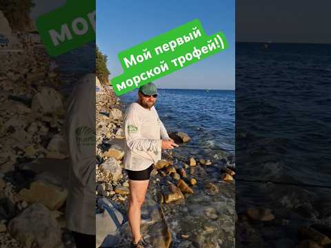 Видео: Мой первый морской трофей. Рыбалка на море! #fishmir #фишмир #рыбалка #морская #поймалотпусти