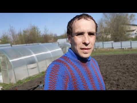 Видео: Мотоблок Ока МБ 1д1. Вспашка, посадка. Сезон 2021