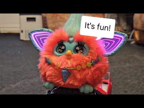 Видео: Польский и английский фёрби катаются на радиоуправляемой машинке