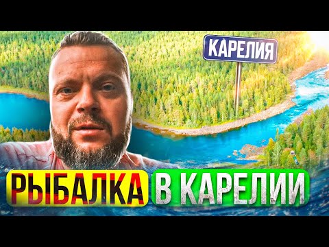Видео: Прекрасная Карелия. Путешествие с семьей. Река, грибы, ягоды, рыбалка в Карелии. Сегозеро на лодке