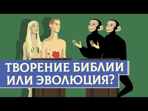 Видео: Творение Библии или Эволюция? | Раввин Михаил Финкель