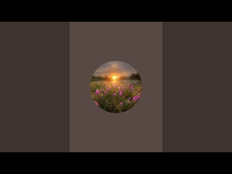 Видео: Теплый привет подписчикам и новым зрителям)