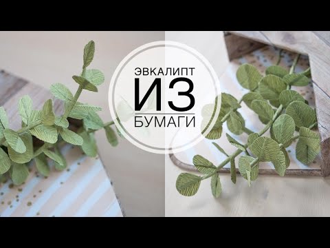 Видео: Эвкалипт из гофрированной бумаги DIY Tsvoric Corrugated paper eucalyptus