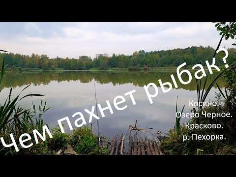 Видео: Косино. Озеро Черное или Чем пахнет рыбак.