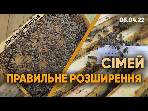 Видео: Правильне розширення сімей в квітні!