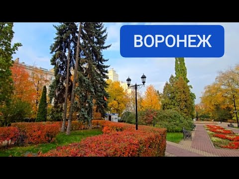 Видео: ВОРОНЕЖ, ЧАСТЬ 2 #воронеж #памятникиархитектуры