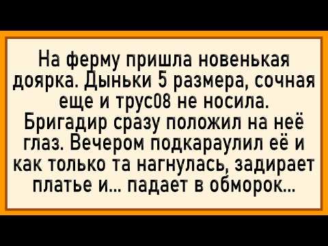 Видео: Как доярка залетела! Сборник свежих анекдотов! Юмор!