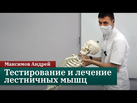 Видео: Тестирование и лечение лестничных мышц. Максимов Андрей