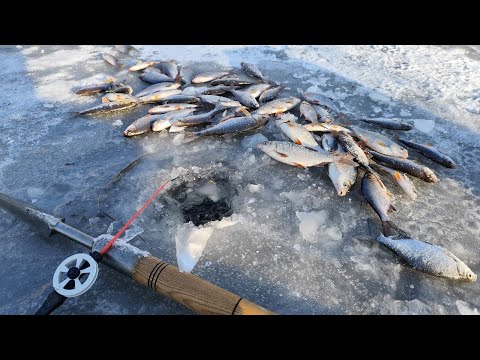 Видео: ПЛОТВА ПІШЛА НЕ ВСТИГАЮ ОПУСКАТЬ.Зимова рибалка на плотву
