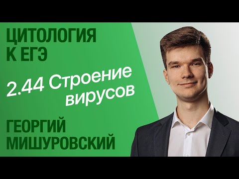 Видео: 2.44. Строение вирусов и бактериофаги | Цитология к ЕГЭ | Георгий Мишуровский