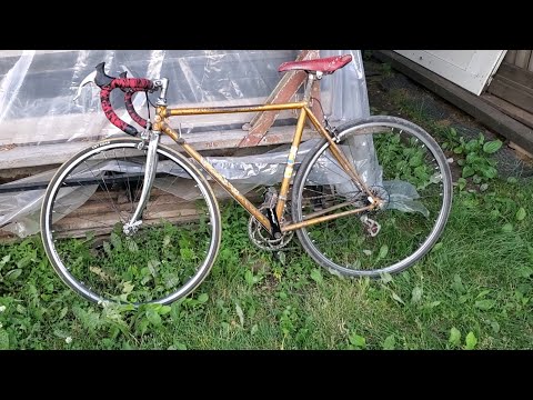 Видео: (Стартшоссе) извините - Турист, моего товарища