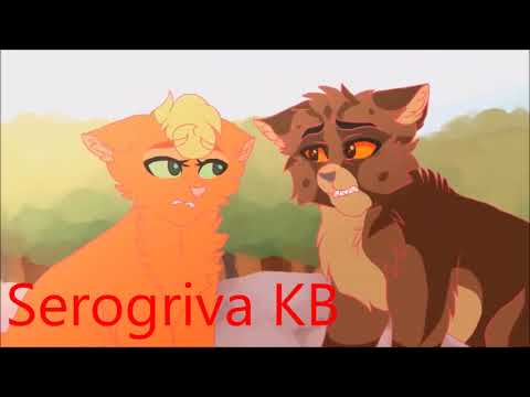 Видео: Коты воители  Белка - Я тебе не верю, да ты любил меня знаю, но больше я не летаю...