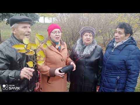 Видео: Листья желтые