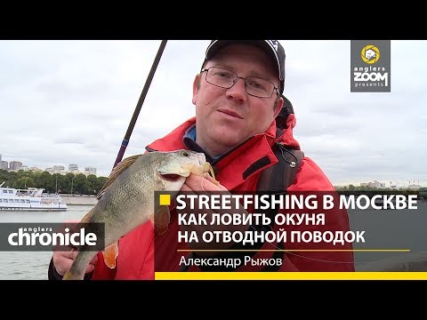 Видео: Streetfishing в Москве. КАК ЛОВИТЬ ОКУНЯ на ОТВОДНОЙ поводок. Александр Рыжов. Anglers Chronicle