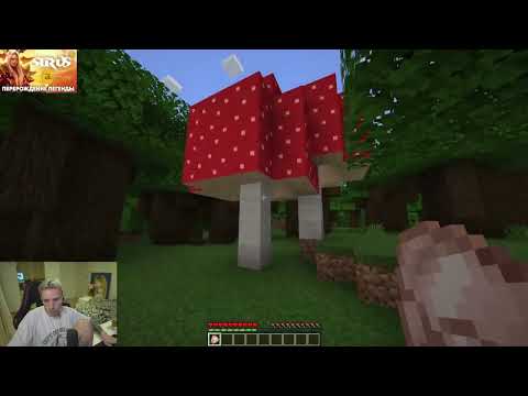 Видео: АНДРЕЙ ИГРАЕТ В MINECRAFT - Follentass, Фолентас