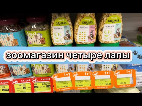 Видео: Поход в зоомагазин | Покупки для крыс | Покупки для меня 🛍