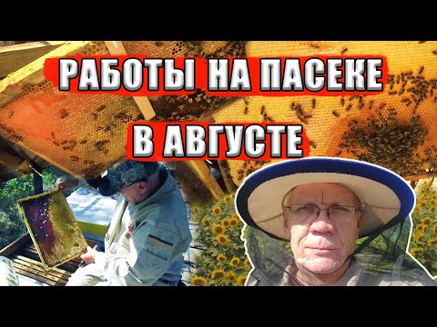 Видео: Что нужно делать на пасеке в августе? Главный осенний осмотр.