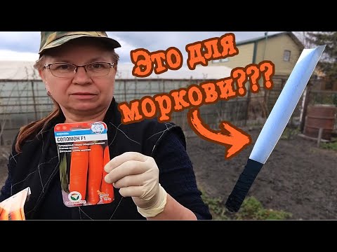 Видео: Посев моркови.  БЕЗ ГОРЕЧИ и МОРКОВНОЙ МУХИ.