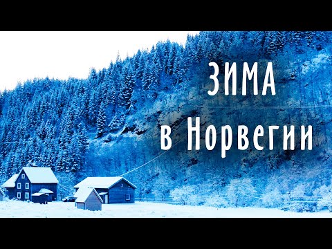 Видео: Первая зима новичков в Норвегии. Наша жизнь в доме в Норвегии