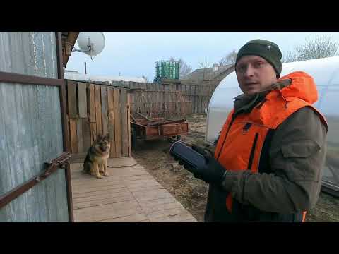 Видео: Н/О НЕМЕЦКАЯ ОВЧАРКА, КОМАНДА ГОЛОС НА АУДИО ЗАПИСЬ.#послушнаясобака#дрессировкасобаки#кинолог