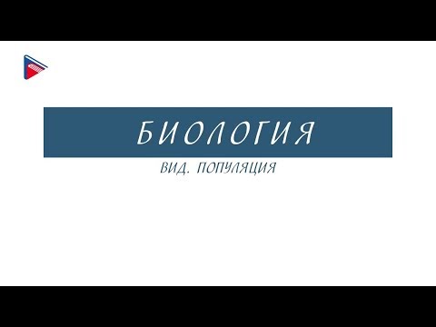 Видео: 11 класс - Биология - Вид. Популяция