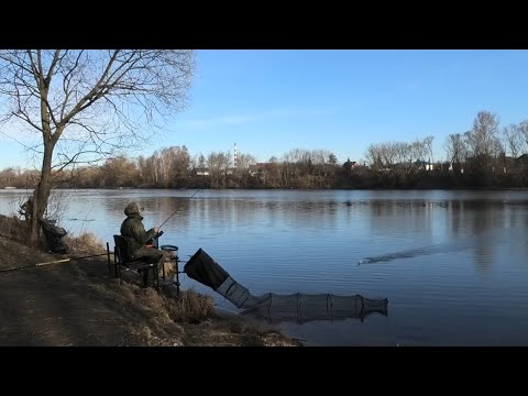 Видео: СОСЕД ЛОВИТ ЛЕЩЕЙ...Я КОТУ ПОЖРАТЬ
