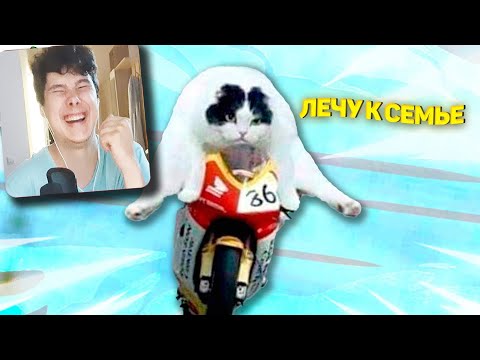 Видео: 9 МИНУТ СМЕХА | ЛУЧШИЕ ПРИКОЛЫ АВГУСТ 2021 ПОПРОБУЙ ЗАСМЕЯТЬСЯ ЧЕЛЛЕНДЖ ЗАСМЕЯЛСЯ ПРОИГРАЛ