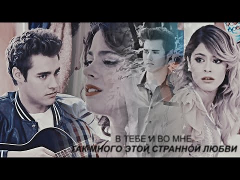 Видео: виолетта+леон [птицы]