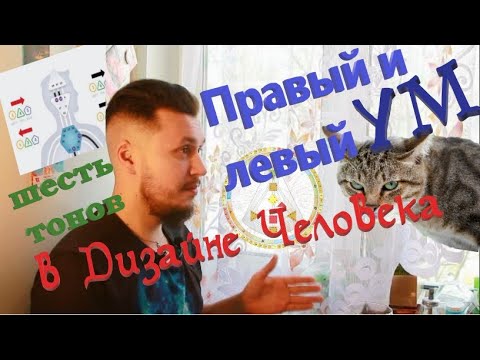 Видео: Как работает твой ум? Дизайн Человека простыми словами.