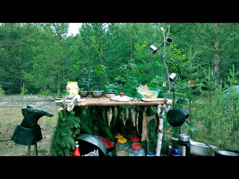 Видео: 4 месяца в тайге.  Сезон 2016. № 2. Медведи, Рябчик, Дёготь))