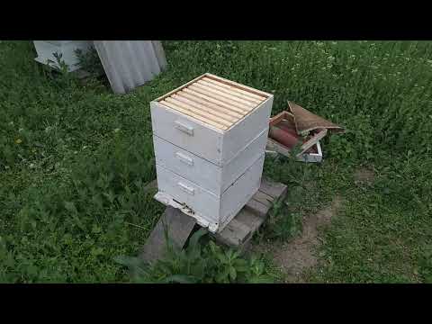 Видео: Почему рамка северо-крымского улья выглядит именно так,а не иначе?