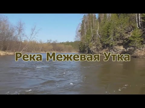 Видео: Весенний сплав по реке Межевая Утка
