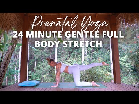 Видео: ЙОГА ДЛЯ РОДОВ | Мягкая растяжка всего тела (24 минуты)… Эшли Фриман