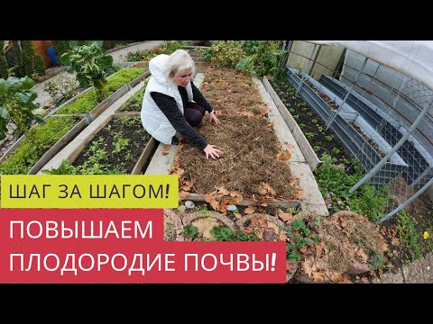 Видео: КАК ЛУЧШЕ ПОДГОТОВИТЬ ГРЯДКИ ПОД ЗИМУ!🍁🍂 МАНИЯ МУЛЬЧИРОВАНИЯ И ПЛЮШКИН В РАБОТЕ!😍🤣ПИРОГ НА ГРЯДКЕ!🍰