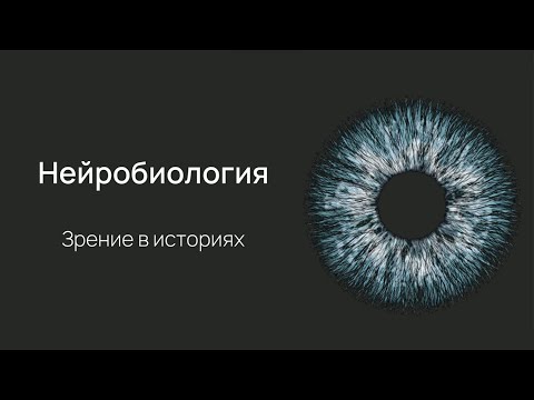 Видео: Нейробиология восприятия. Лекция 1. Глаз