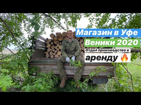 Видео: Березовые веники как бизнес/ отдал в аренду производство угля/ открываю магазин телефонов Apple