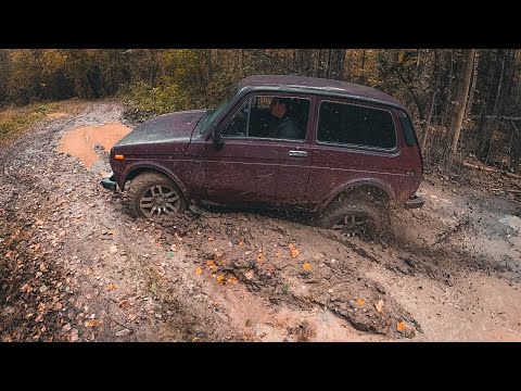 Видео: НИВА в шоке))) Выехали на старый маршрут месяц спустя и офигели!!!