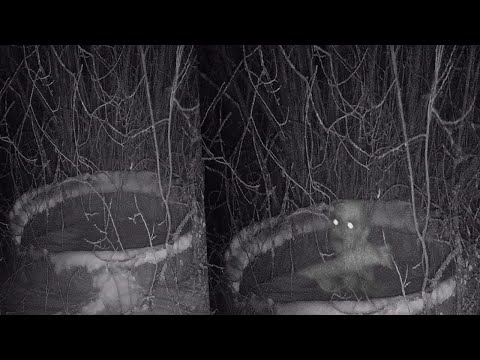 Видео: КОЛОДЕЦ МЕРТВОЙ ВЕДЬМЫ WELL OF THE DEAD WITCH УСТАНОВИЛ КАМЕРЫ INSTALLED CAMERAS