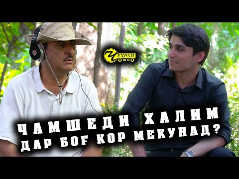 Видео: ЧАМШЕДИ ХАЛИМ ДАР БОГ КОР МЕКУНАД ?  (ЧЕХРАИ ОШНО)