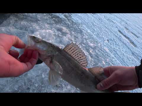 Видео: Открытие зимнего сезона на Судака 2022-2023. Волга