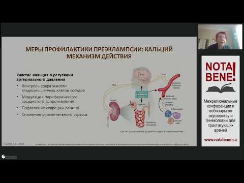 Видео: Вебинар "NOТA BENE!" 17.04.2025: Г.Б. Дикке  "Уникальный состав – профилактика осложнений гестации"