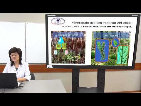 Видео: Дәріс «Жоғарысатыдағыспоралыөсімдіктер. Мүктәрізділербөлімі»