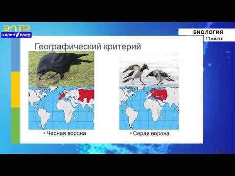 Видео: 11-класс | Биология | Вид – эволюционная единица. Вид и его критерии. Формы естественного отбора.