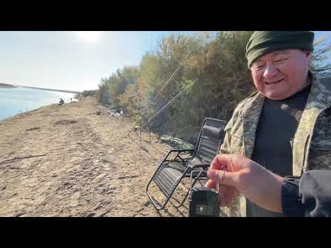 Видео: Рыбалка канал | сырдария | коксарай |слияние | турнир  рыбалки | рыбалка Казахстан | рыблка дария