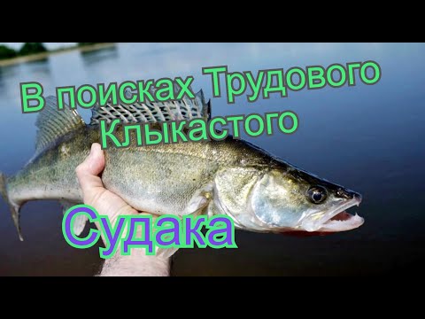 Видео: В поисках Трудового Судака на Киевском море