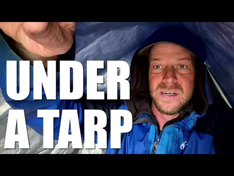 Видео: Холодный, мокрый, бездомный