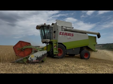 Видео: 14.07.2025 починаєм молотити ячмінь,комбайн Claas Lexion 460😁