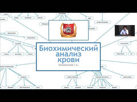 Видео: БХ 3.1. Как делаются биохимические исследования