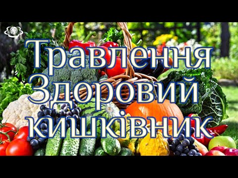 Видео: Травлення.  Здоровий кишківник