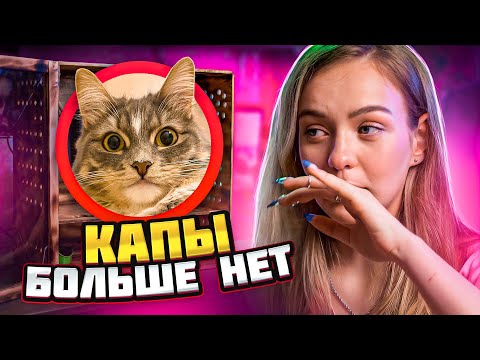 Видео: ЧТО СЛУЧИЛОСЬ С КОШКОЙ? ПОРА ПРОЩАТЬСЯ...